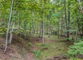 7504 Ashton Woods Drive, Moorefield, WV 26836