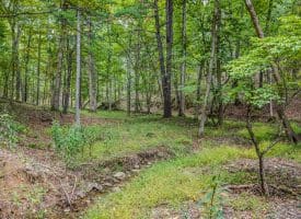 7504 Ashton Woods Drive, Moorefield, WV 26836