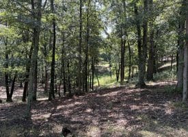 1433 Ed Welsh Road, Burlington, WV 26710