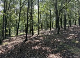 1433 Ed Welsh Road, Burlington, WV 26710