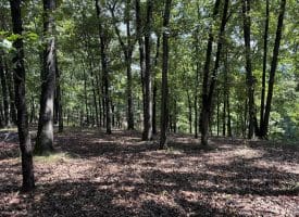 1433 Ed Welsh Road, Burlington, WV 26710