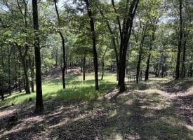 1433 Ed Welsh Road, Burlington, WV 26710
