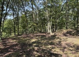 1433 Ed Welsh Road, Burlington, WV 26710