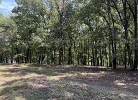 1433 Ed Welsh Road, Burlington, WV 26710