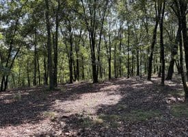 1433 Ed Welsh Road, Burlington, WV 26710