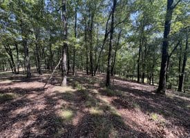 1433 Ed Welsh Road, Burlington, WV 26710