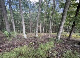 129.93 Ac Off Strawderman Road, Mathias, WV 26812