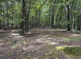 129.93 Ac Off Strawderman Road, Mathias, WV 26812