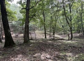129.93 Ac Off Strawderman Road, Mathias, WV 26812