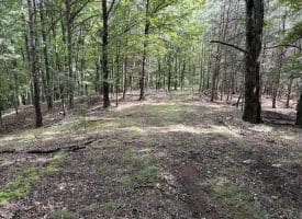 129.93 Ac Off Strawderman Road, Mathias, WV 26812