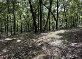 129.93 Ac Off Strawderman Road, Mathias, WV 26812