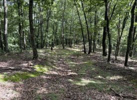 129.93 Ac Off Strawderman Road, Mathias, WV 26812