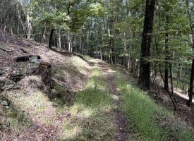 129.93 Ac Off Strawderman Road, Mathias, WV 26812