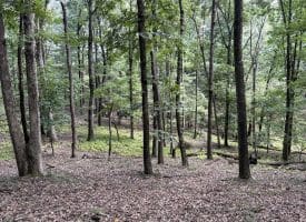 129.93 Ac Off Strawderman Road, Mathias, WV 26812