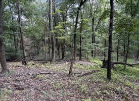 129.93 Ac Off Strawderman Road, Mathias, WV 26812