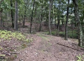 129.93 Ac Off Strawderman Road, Mathias, WV 26812