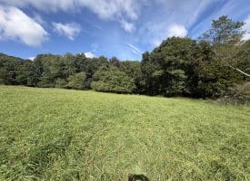 129.93 Ac Off Strawderman Road, Mathias, WV 26812
