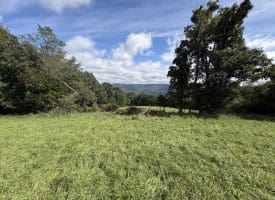 129.93 Ac Off Strawderman Road, Mathias, WV 26812