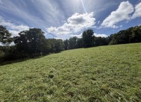 129.93 Ac Off Strawderman Road, Mathias, WV 26812