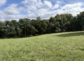 129.93 Ac Off Strawderman Road, Mathias, WV 26812