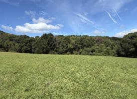 129.93 Ac Off Strawderman Road, Mathias, WV 26812