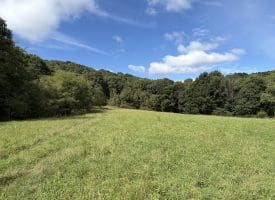129.93 Ac Off Strawderman Road, Mathias, WV 26812