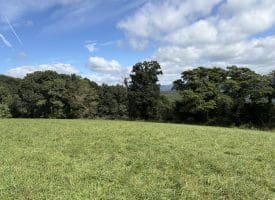 129.93 Ac Off Strawderman Road, Mathias, WV 26812