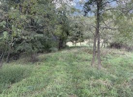 129.93 Ac Off Strawderman Road, Mathias, WV 26812