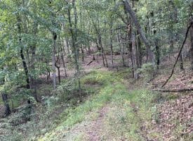 129.93 Ac Off Strawderman Road, Mathias, WV 26812
