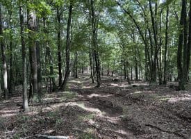 129.93 Ac Off Strawderman Road, Mathias, WV 26812