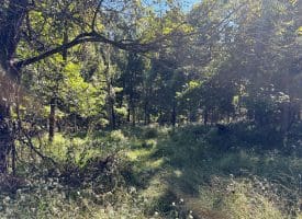 Lot 205 Graces Cabin Road, Springfield, WV 26763