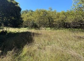 Lot 205 Graces Cabin Road, Springfield, WV 26763
