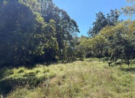 Lot 205 Graces Cabin Road, Springfield, WV 26763
