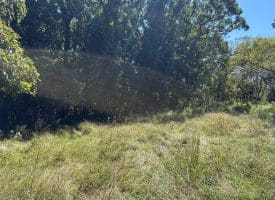 Lot 205 Graces Cabin Road, Springfield, WV 26763