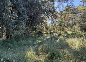 Lot 205 Graces Cabin Road, Springfield, WV 26763