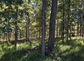 Lot 205 Graces Cabin Road, Springfield, WV 26763