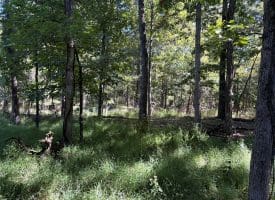 Lot 205 Graces Cabin Road, Springfield, WV 26763