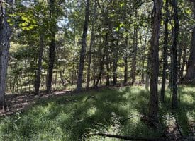 Lot 205 Graces Cabin Road, Springfield, WV 26763