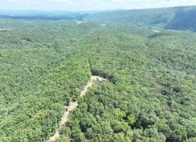 1433 Ed Welsh Road, Burlington, WV 26710