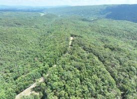 1433 Ed Welsh Road, Burlington, WV 26710