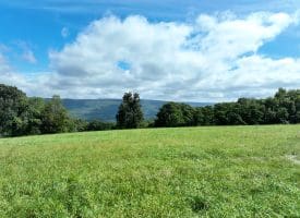 129.93 Ac Off Strawderman Road, Mathias, WV 26812