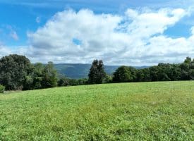 129.93 Ac Off Strawderman Road, Mathias, WV 26812