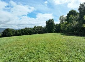 129.93 Ac Off Strawderman Road, Mathias, WV 26812