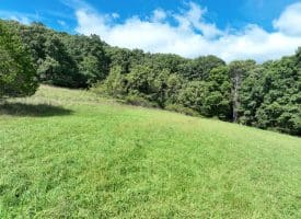 129.93 Ac Off Strawderman Road, Mathias, WV 26812