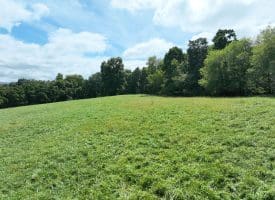 129.93 Ac Off Strawderman Road, Mathias, WV 26812