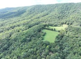129.93 Ac Off Strawderman Road, Mathias, WV 26812
