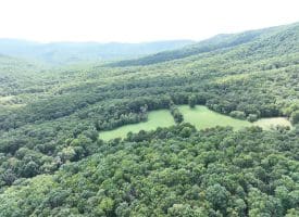 129.93 Ac Off Strawderman Road, Mathias, WV 26812