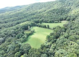 129.93 Ac Off Strawderman Road, Mathias, WV 26812