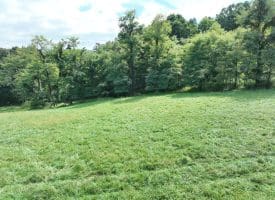129.93 Ac Off Strawderman Road, Mathias, WV 26812
