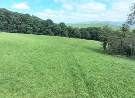 129.93 Ac Off Strawderman Road, Mathias, WV 26812